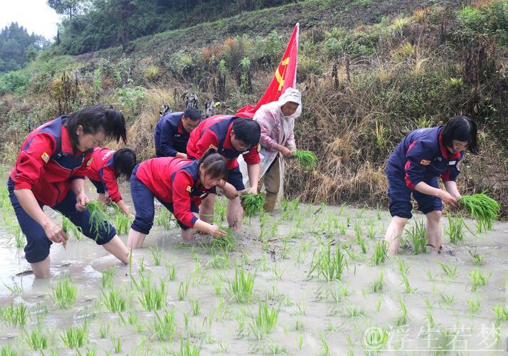 【在希望的田野上】各地抢抓农时有序推进农业生产